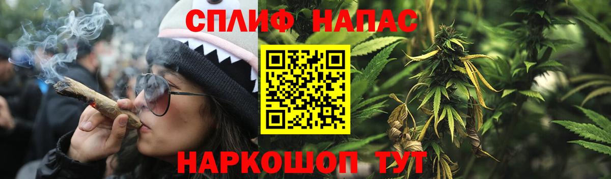Бошки марихуана ГИДРОПОН Ирбит